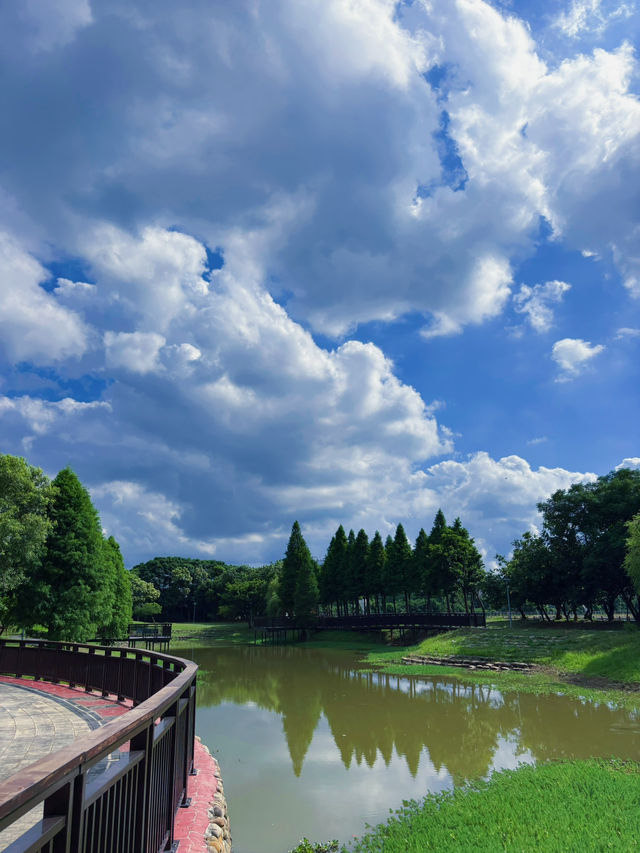 桃園市區也能遇見自然仙境 桃園 1-4 號生態埤塘｜步道、樹蔭、湖景一次滿足的城市秘境