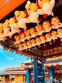 🎢🐬 Ocean Park Hong Kong – Wild Rides, Cute Creatures & Ocean Views! 🌊🐼