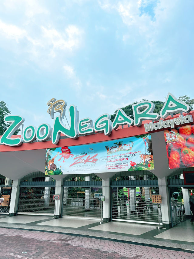 Explore the Wonders of Zoo Negara Malaysia – A Must-Visit This Summer with Kids!