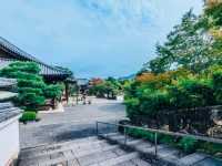 평화로운 역사, 아름다운 건축 - 'Byodoin Temple' 방문기
