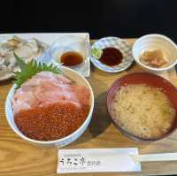 札幌小樽4日間| 女一人旅