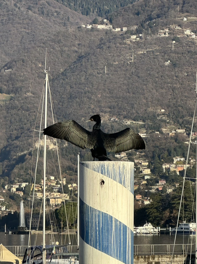 Lake Como: Liquid Alps, Timeless Grace