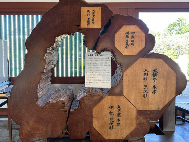 藥師寺：奈良的佛教瑰寶，探尋古代醫療與文化的交融！