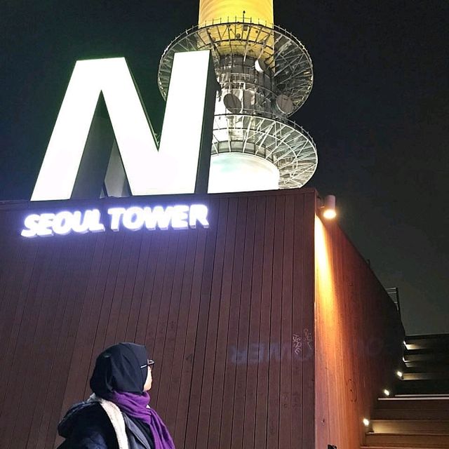 🇰🇷 Peak of Seoul: Namsan's Mesmerizing View!