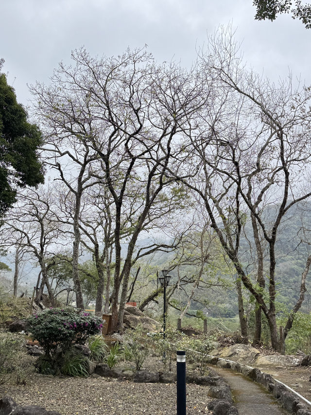 泰安-虎山吊橋