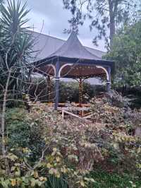 🪴The Beautiful Garden🪴