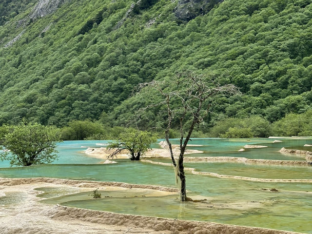 黃龍