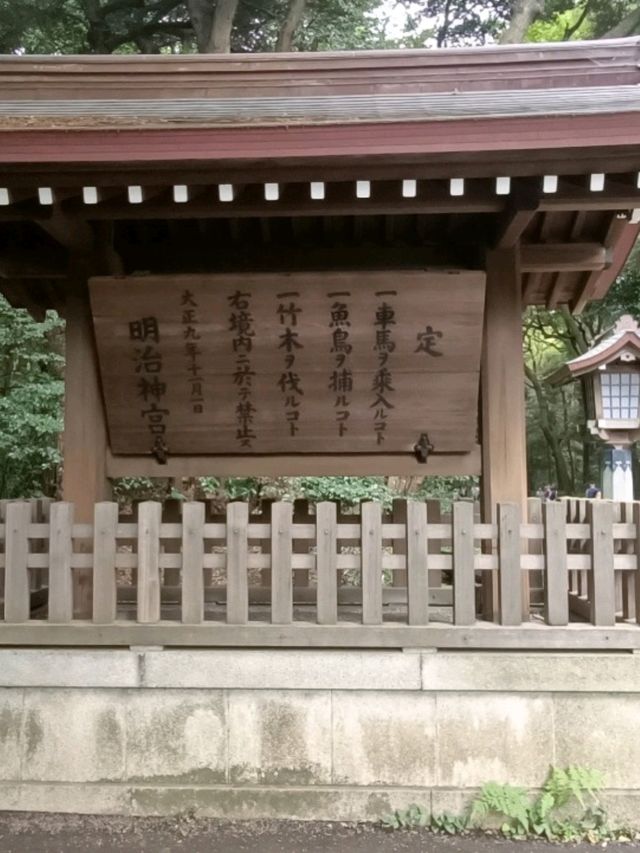 Meiji Jingu: Tokyo’s Peaceful Heartbeat in a Sacred Forest