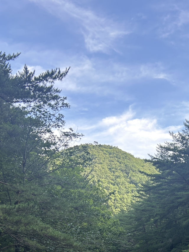 거창 월성계곡- 물놀이 하기 좋은 여름 휴양지! 