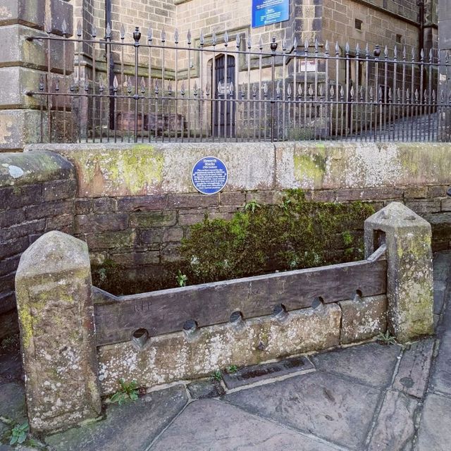 the Black Bull
