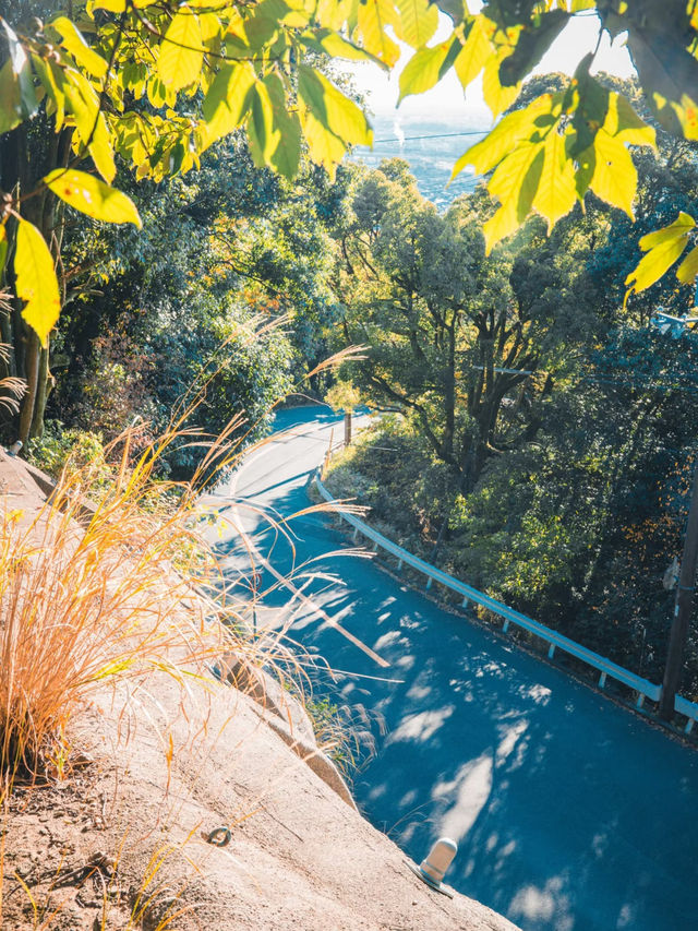 จุดชมวิวลับในโอซาก้าที่คนไม่ค่อยรู้จัก⛰️