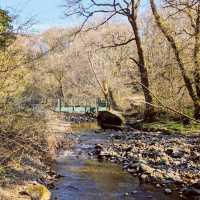 Brock Bottom River