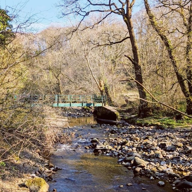 Brock Bottom River