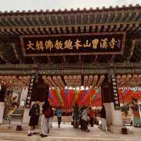 Jogyesa Temple: Seoul’s Soul in Gold & Lotus – A Solo Traveler’s Zen Escape"** 🏮🌸