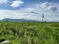 🌻✨ Xizhou Fields: A Day of Unexpected Beauty and Breezy Rides