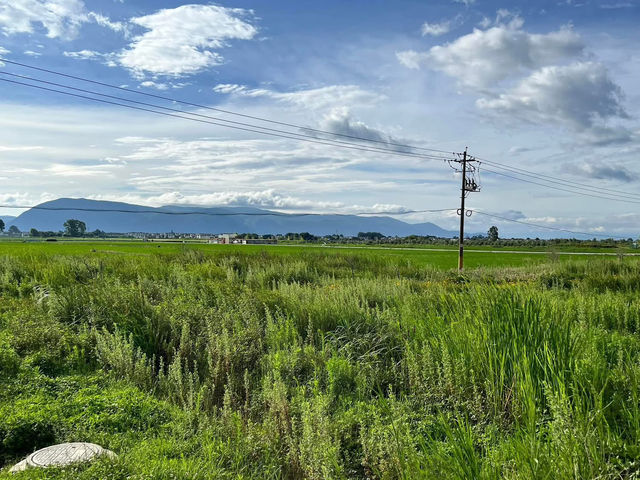 🌻✨ Xizhou Fields: A Day of Unexpected Beauty and Breezy Rides