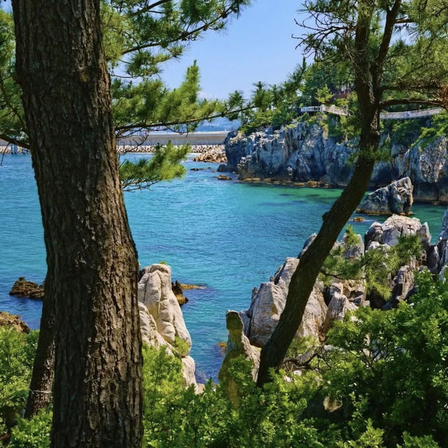Chotdaebawi Rock: Korea’s Most Thrilling Sunrise Spot – A Solo Hiker’s Pilgrimage"** 🌄🧗