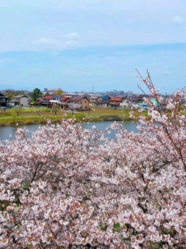 日本名古屋🇯🇵🏯空中單車嘅夢幻之旅✨🚲