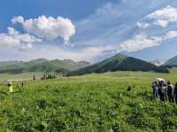 Nalati Sea of Flowers, A Summer Poem Under the Paraglider