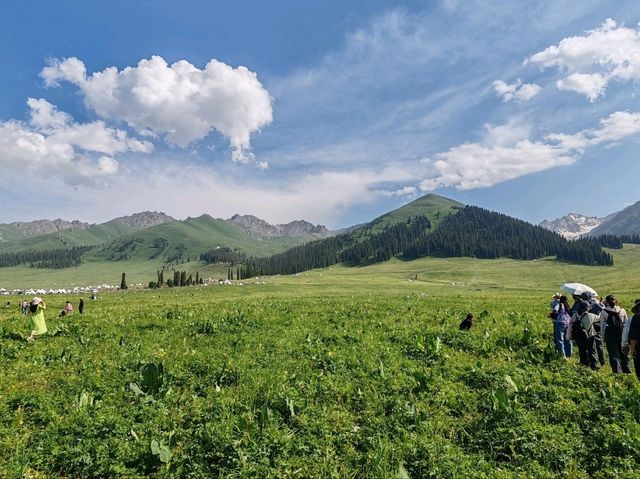 Nalati Sea of Flowers, A Summer Poem Under the Paraglider