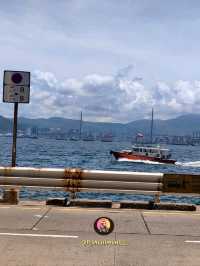 เดินชิลล์ที่ย่าน Kennedy Town