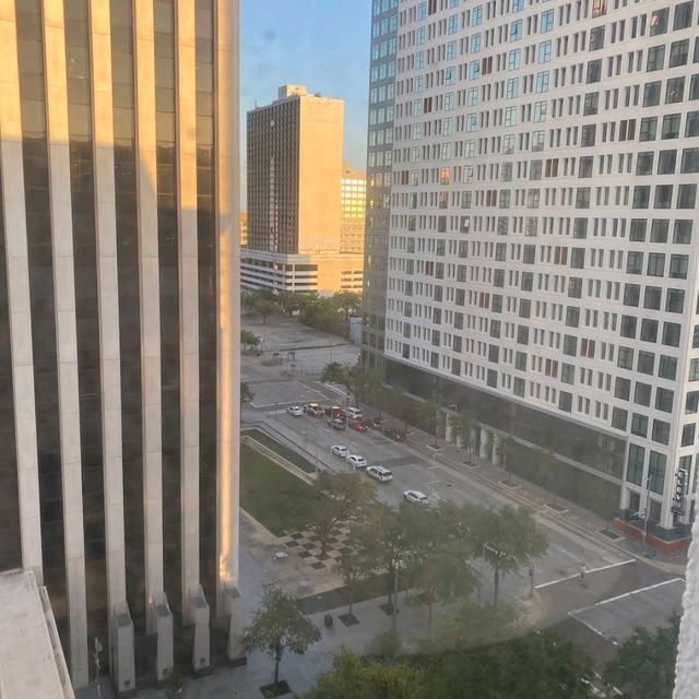 The Whitehall Houston