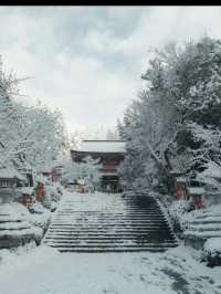 【鞍馬寺】天狗伝説が息づく神秘の山寺へ🌲👺