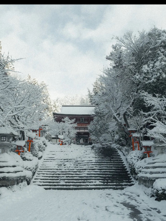 【鞍馬寺】天狗伝説が息づく神秘の山寺へ🌲👺