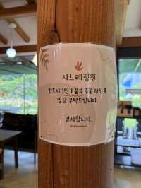 영주 어른들과 함께 방문하기 좋은 카페, 사느레 정원