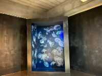 Art in Paradise