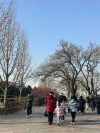 🏙️ 2-Day Tianjin Citywalk Itinerary