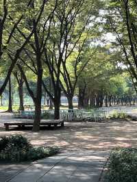 서울숲을 산책하고 성수동 카페거리도 걸어볼까요