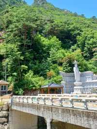 마음의 산책길