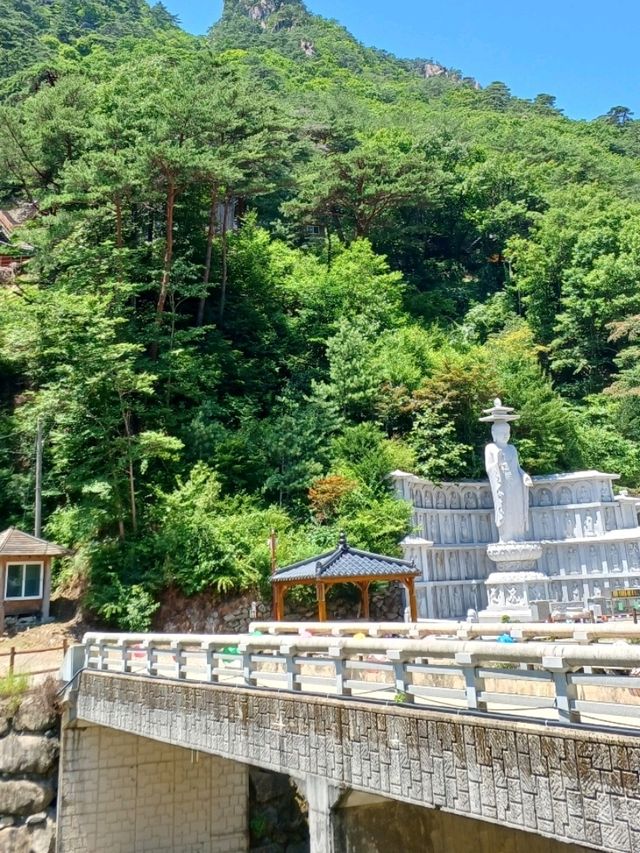 마음의 산책길