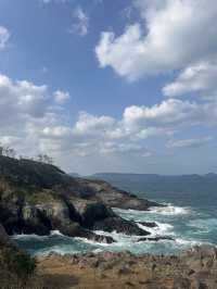 【呼子朝市】新鮮な海の幸と人情に触れる朝の旅🌅