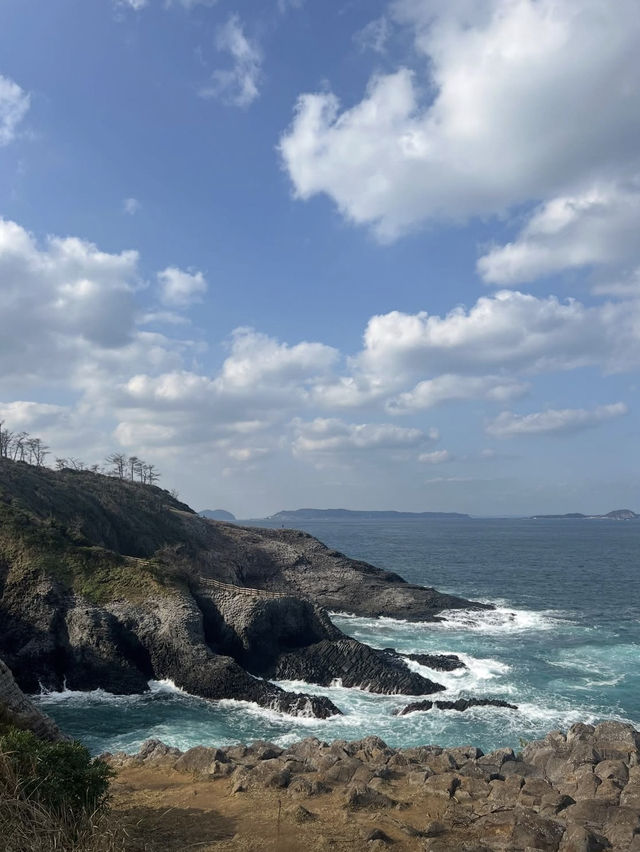 【呼子朝市】新鮮な海の幸と人情に触れる朝の旅🌅