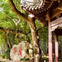 Lanting (Orchid Pavilion): Where Calligraphy Meets Nature's Poetry