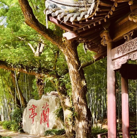 Lanting (Orchid Pavilion): Where Calligraphy Meets Nature's Poetry