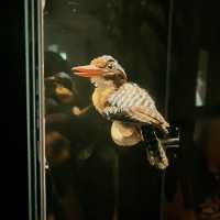 🏛️ Discover Sarawak’s Soul at Borneo Cultures Museum