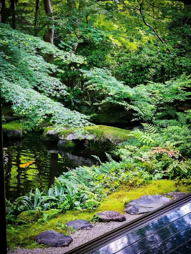 心に映る、青もみじのミラーワールド🪞🍃