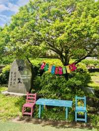 A Cost-Effective Group Adventure on Jeju's Rails
