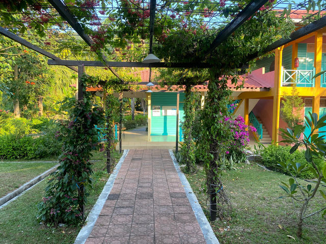 Papaya Resort, Tioman – Chill Vibes, Island Smiles & Just the Right Slice of Paradise 