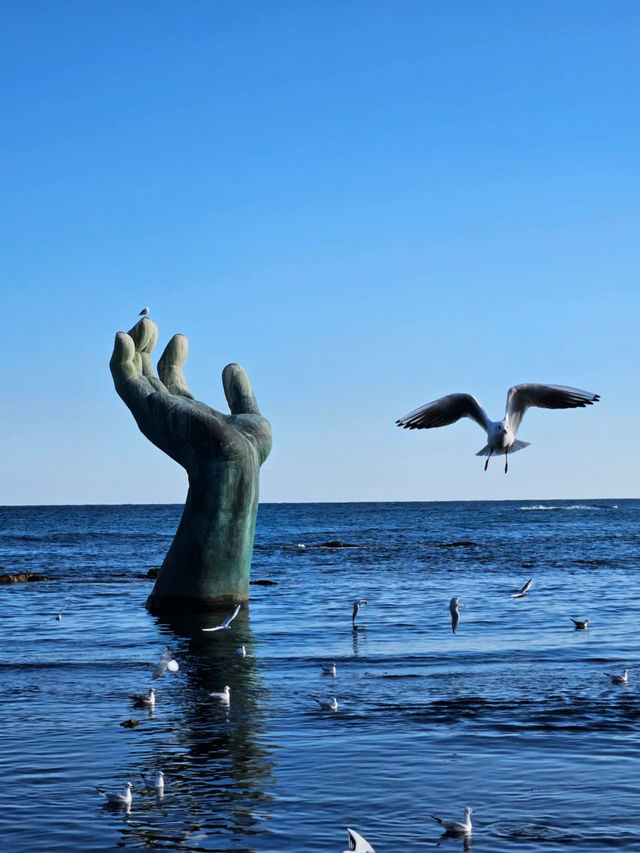 🌊 Pohang 2 Days 1 Night Under RM300 – Sea, Sushi & Space Walk! 🇰🇷