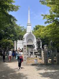 Mount Takao is the perfect half‑day escape: blend nature, culture, and light adventure