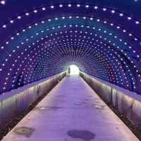 🚢 Cijin Island Day Trip Guide: Kaohsiung’s Tropical Escape