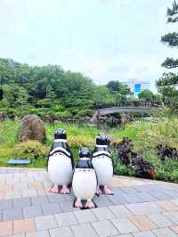 Budget-Friendly Escape at Shinagawa Kumin Park