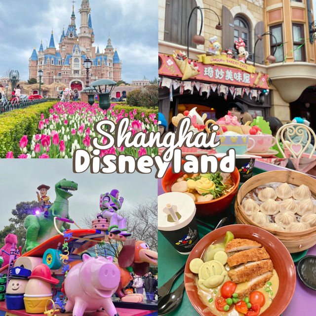 🎠🌈  Shanghai Disneyland  🏰  