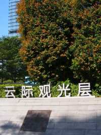 一家人上雲層