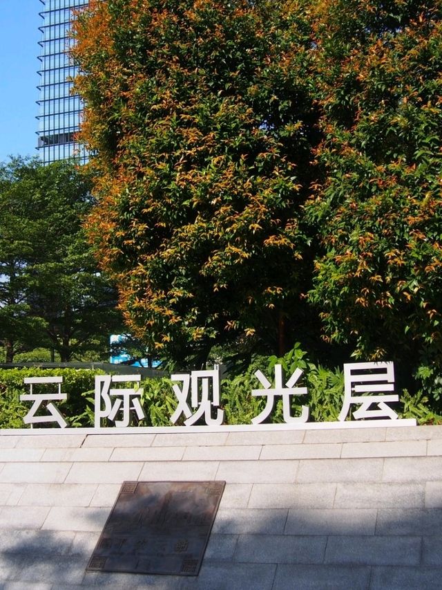 一家人上雲層