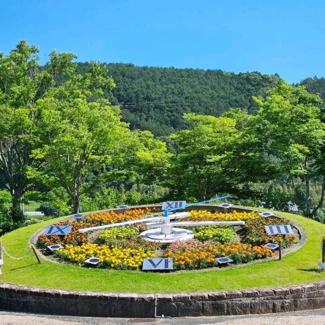 花と緑に包まれる、愛媛県花き総合指導センター🌸🌿